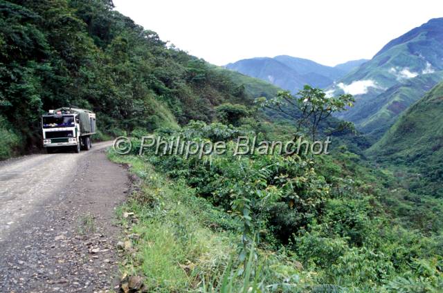 yungas bolivie  14.JPG - Route de la mortYungas de Bolivie